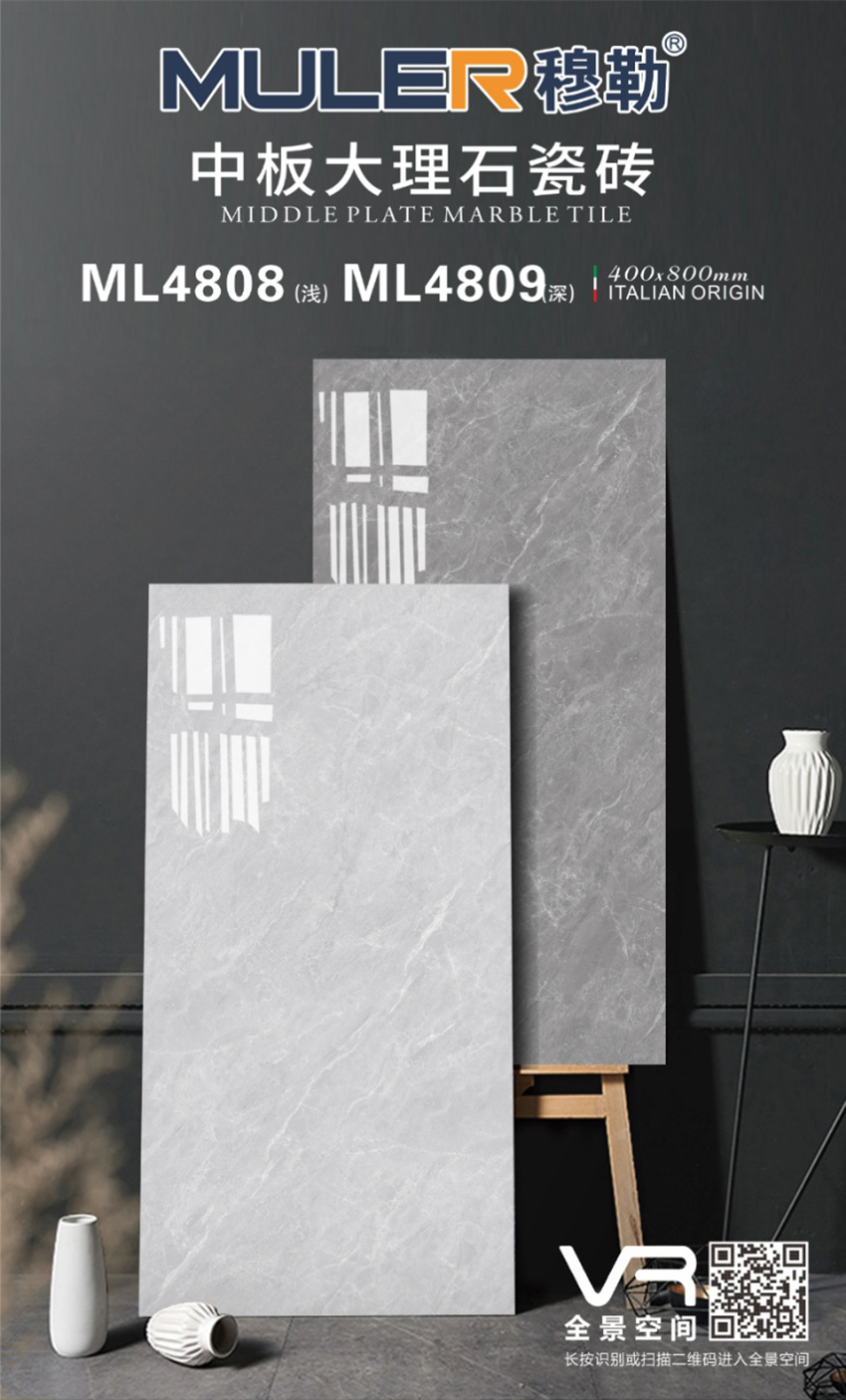 ML4808---ML4809