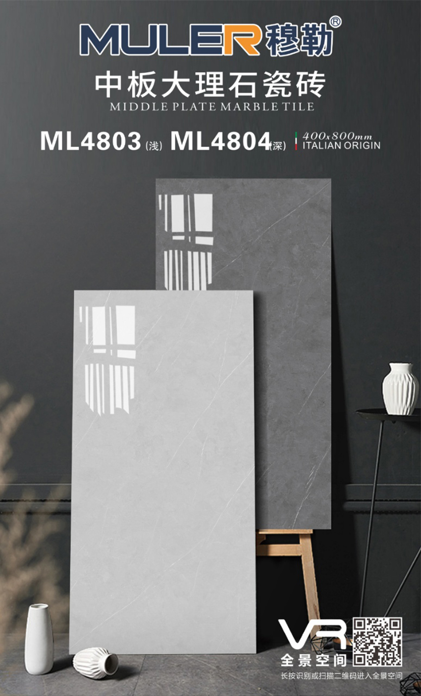ML4803
