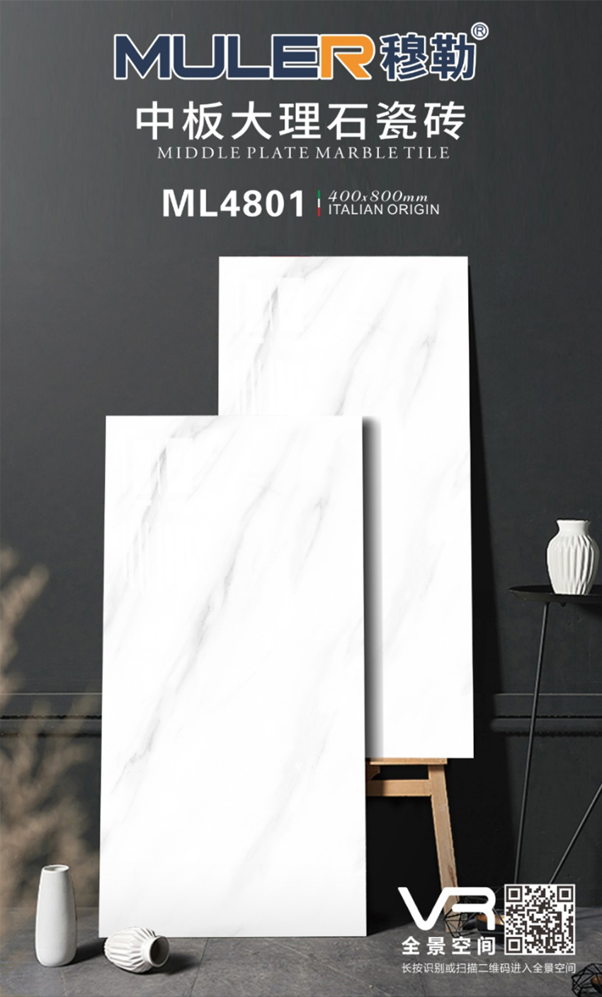 ML4801