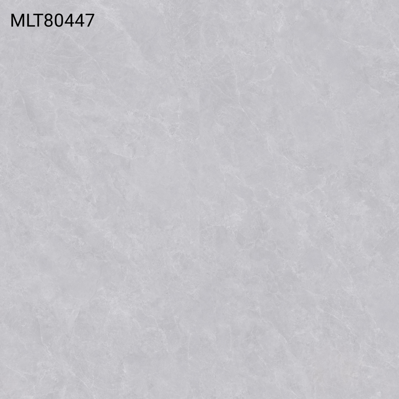 MLT80447