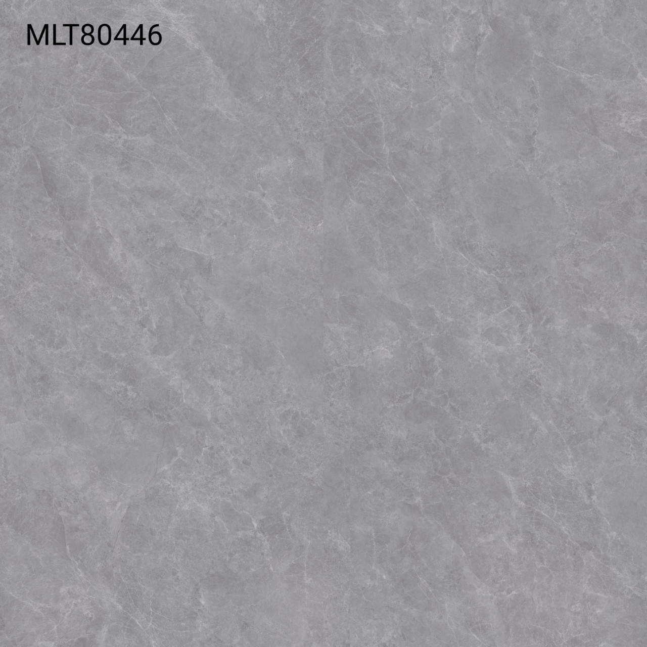 MLT80446