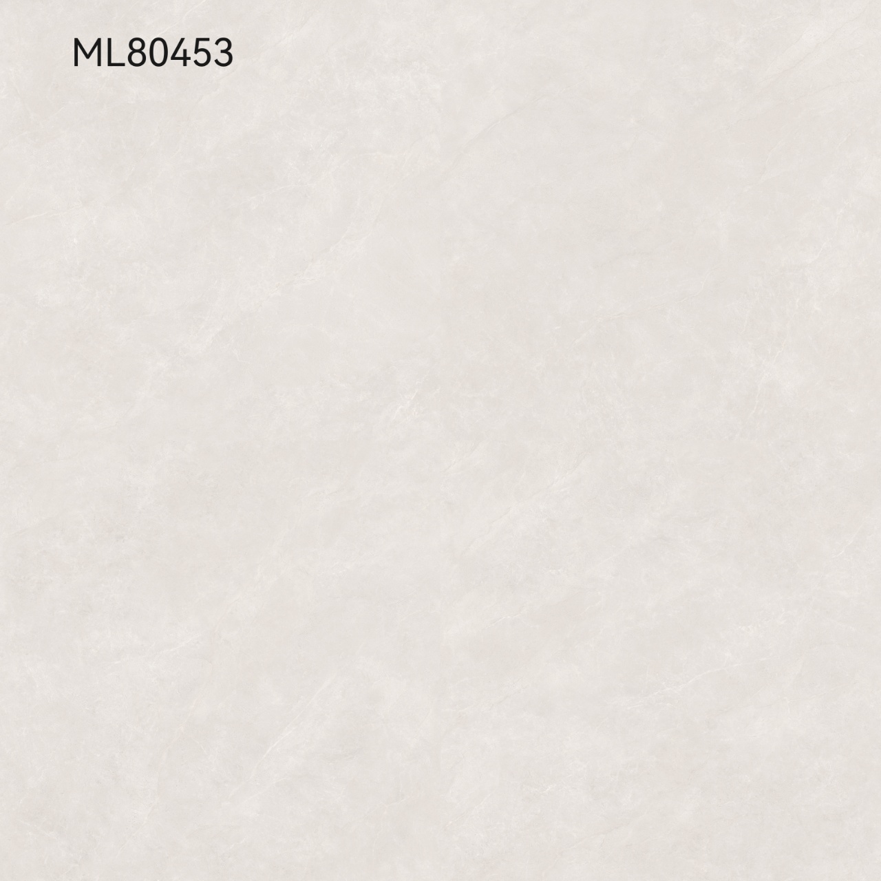 ML80453