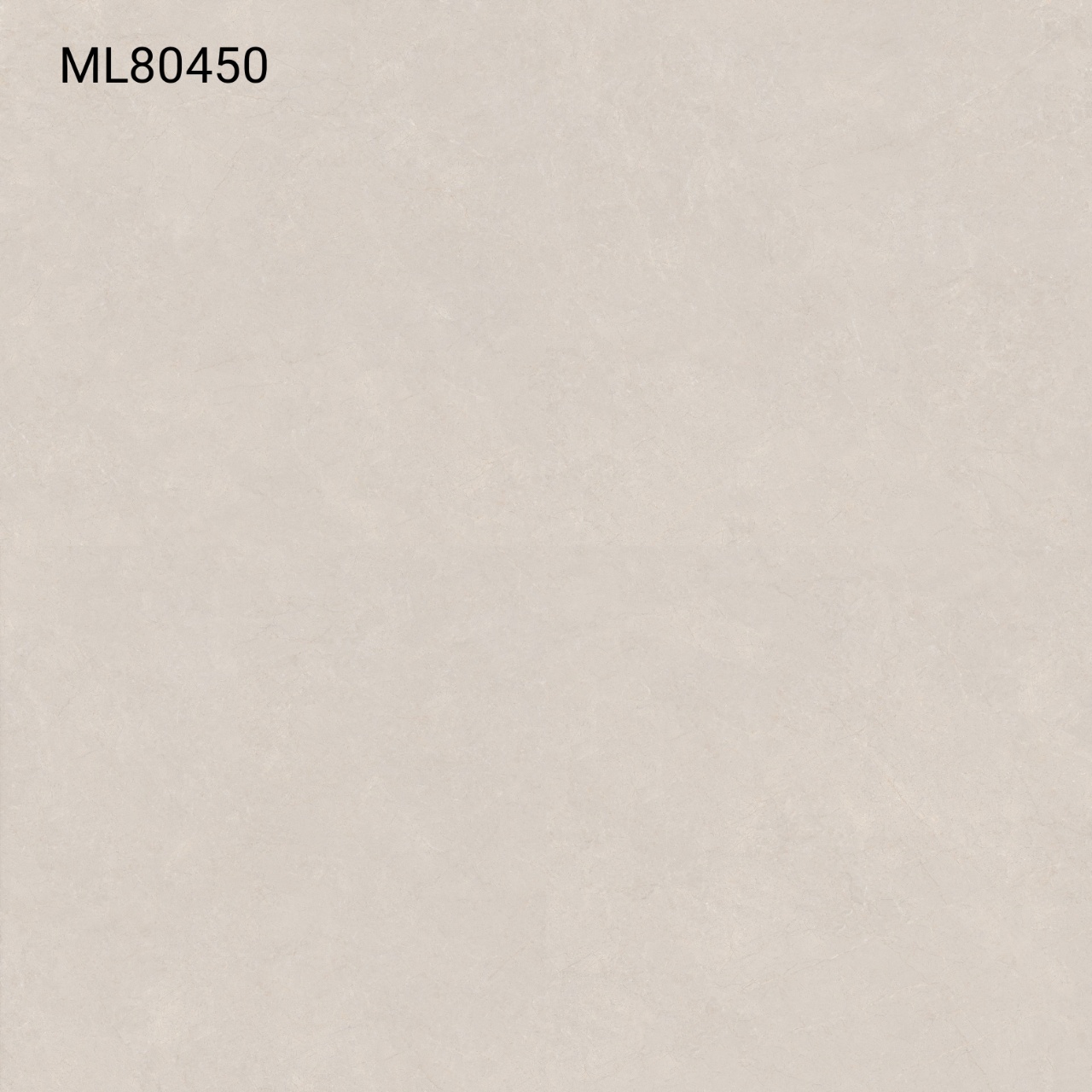 ML80450
