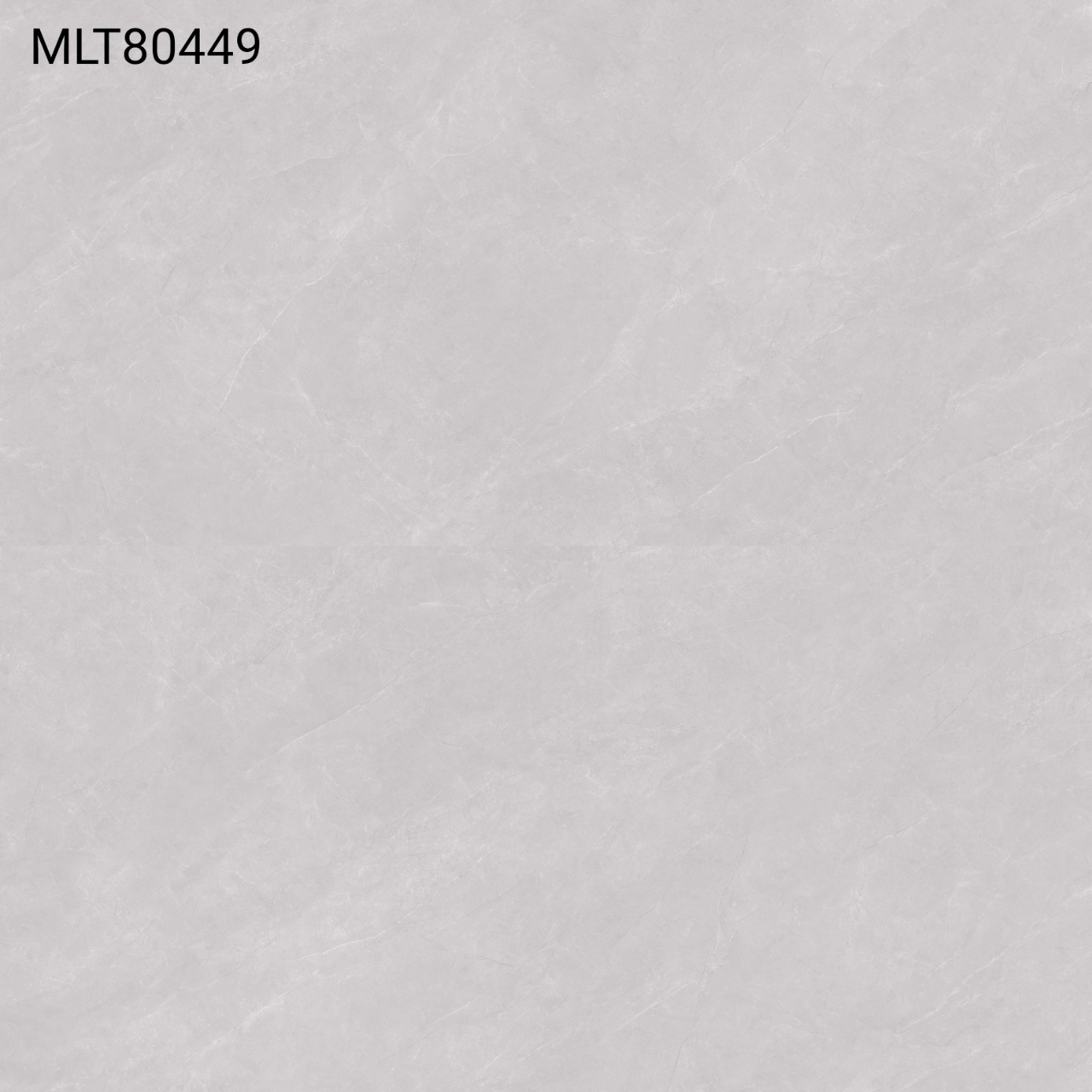 ML80449