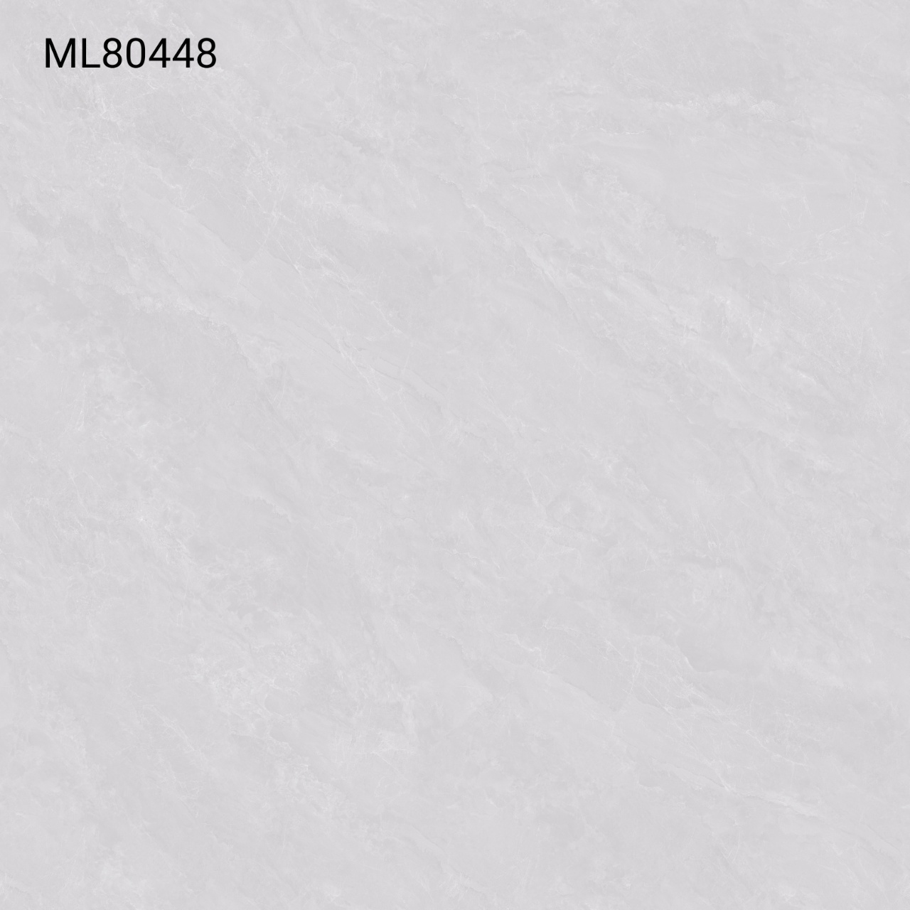 ML80448