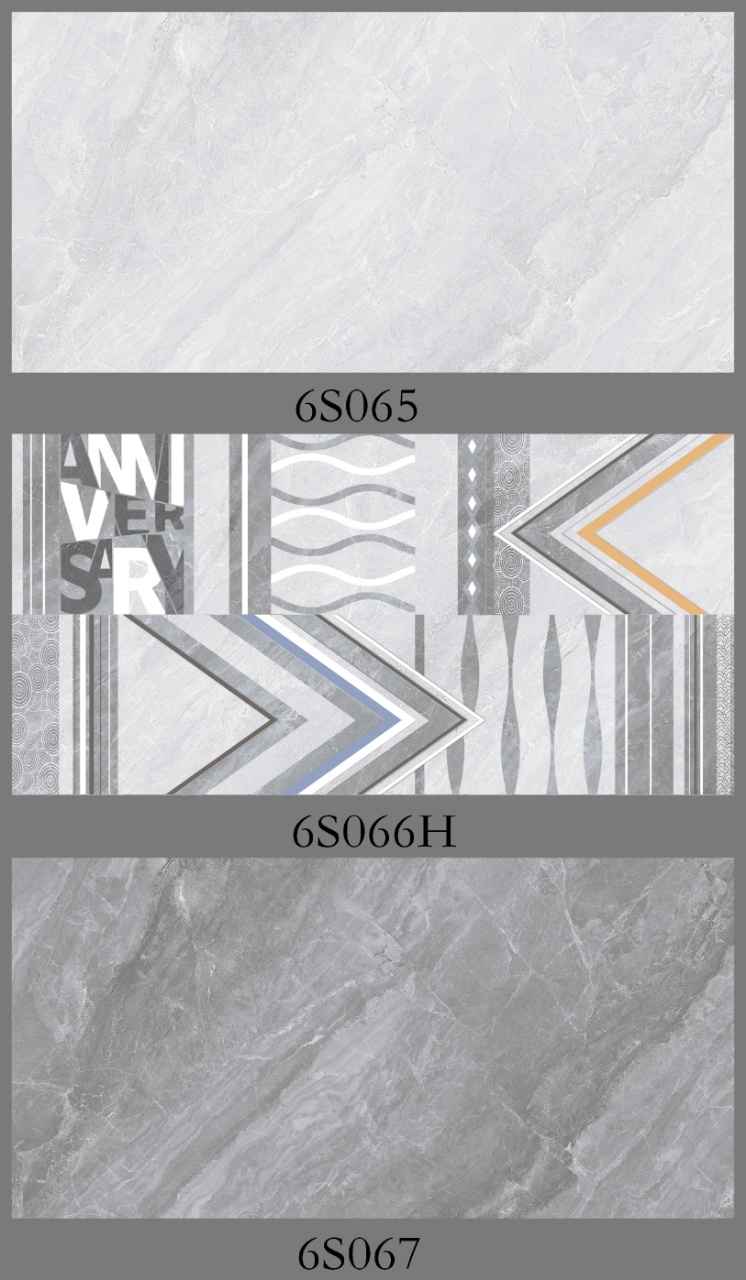 6S065---6S066---6S067